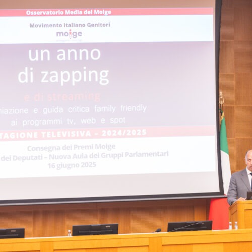 205-Un anno di zapping Moige presentazione