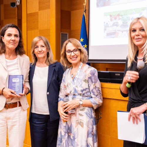 214-Un anno di zapping Moige presentazione